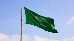 الابتكار والتكنولوجيا