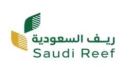 الأخبار